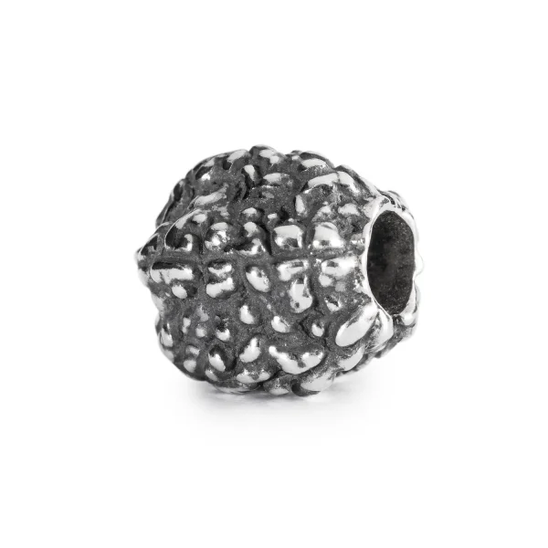 Bead Trollbeads Lacrime di Shiva in argento 925 con texture irregolare che riproduce il seme di Rudraksha.